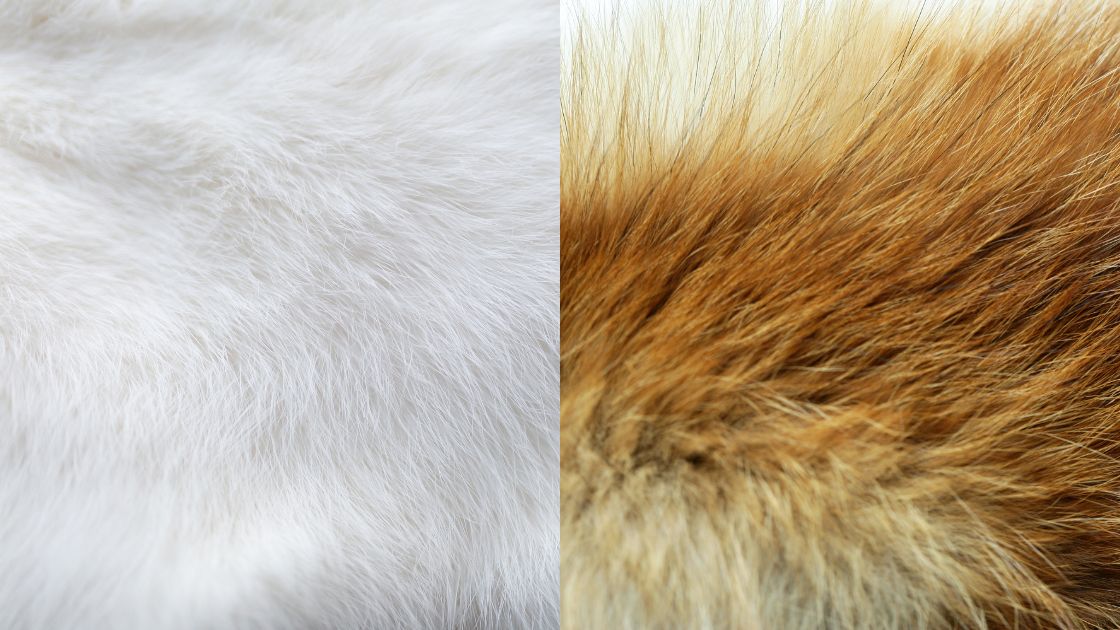 faux fur vs animal fur