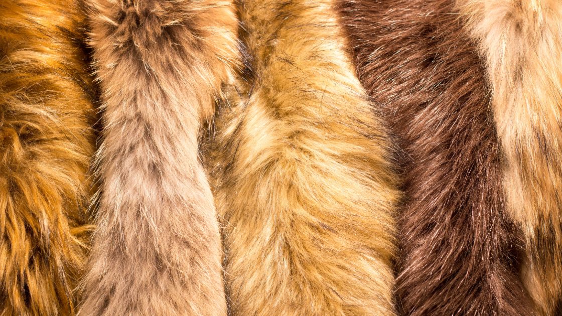 Benefits for Choosing Faux Fur Over Animal Fur